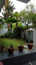 West Coast Gardens (D5), Semi-Detached #558428471
